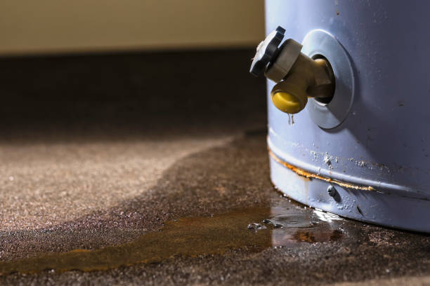 Best Professional water damage repair  in Waynesboro, GA