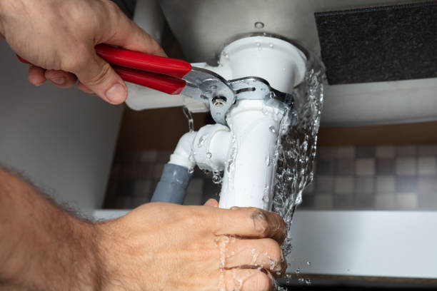 Best Flooded house restoration  in Waynesboro, GA