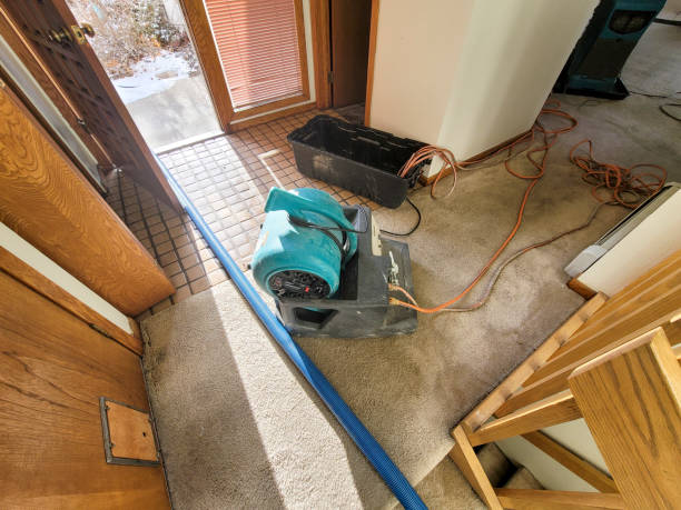 Best Commercial water damage restoration  in Waynesboro, GA