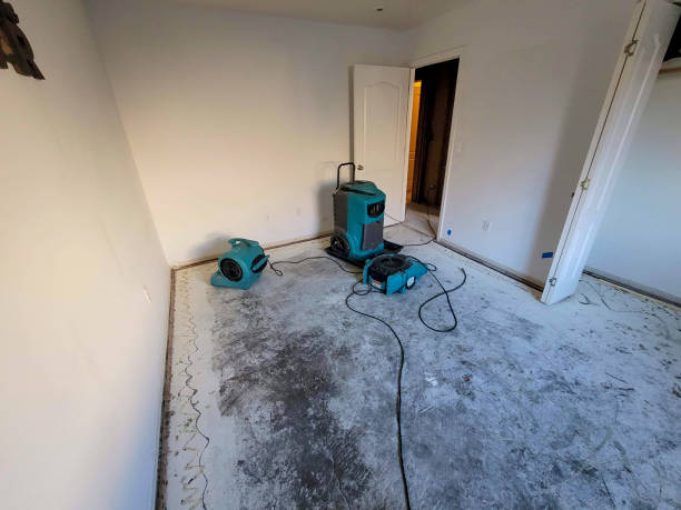 Best Ceiling water damage repair  in Waynesboro, GA