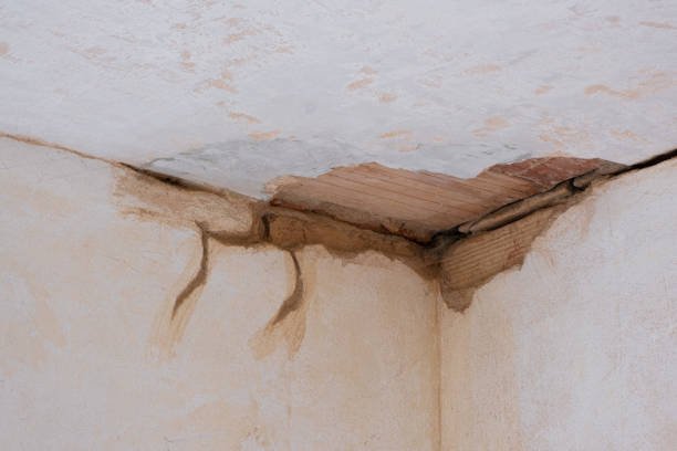 Best Water damage restoration experts  in Waynesboro, GA