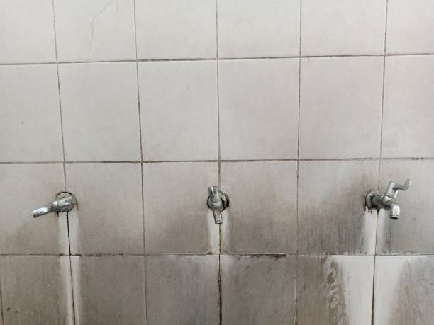 Best Water damage cleanup near me  in Waynesboro, GA