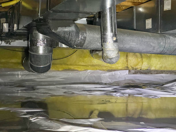 Best Flooded house restoration  in Waynesboro, GA