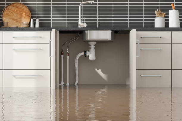 Best Ceiling water damage repair  in Waynesboro, GA