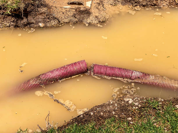 Best Water damage contractors near me  in Waynesboro, GA